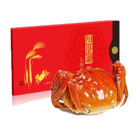 阳澄湖|问米蟹券1588型|公4.5两，母3.2两|5对共10只|1张