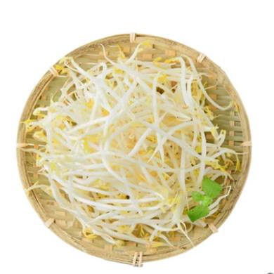 诸暨|农家绿豆芽|0.6斤