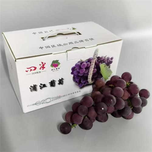 浦江|巨峰葡萄（精品）|鲜甜浓郁，毛重4斤|1盒|次日配送