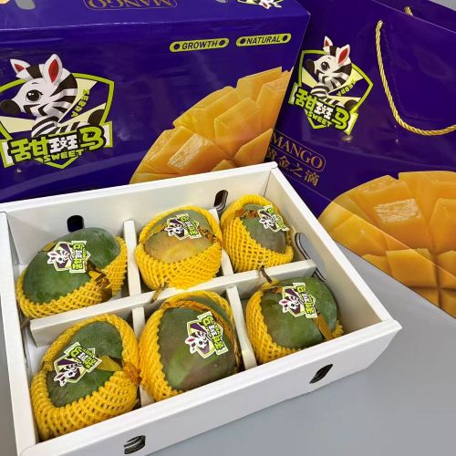 攀枝花|树上熟凯特芒|5/6头，净重6斤左右|1箱|次日配送