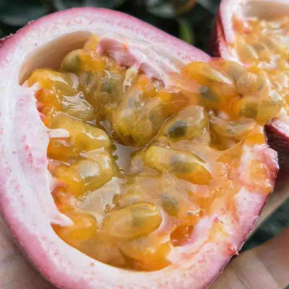 精选|水蜜桃百香果|12头大果|1箱|次日配送