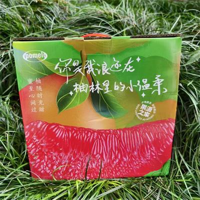 精选|上琯蜜柚|4个装，净重9.2斤左右|1箱|次日配送