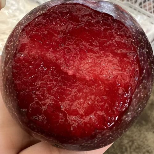 智利|凤凰李（简装）|2斤|次日配送