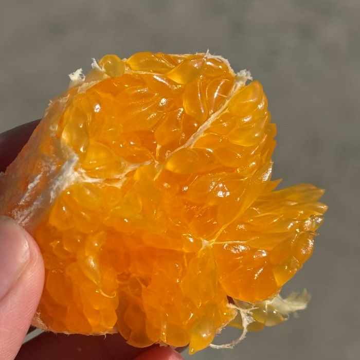 四川|筐装春见|毛重8.8斤以上|1筐|次日配送