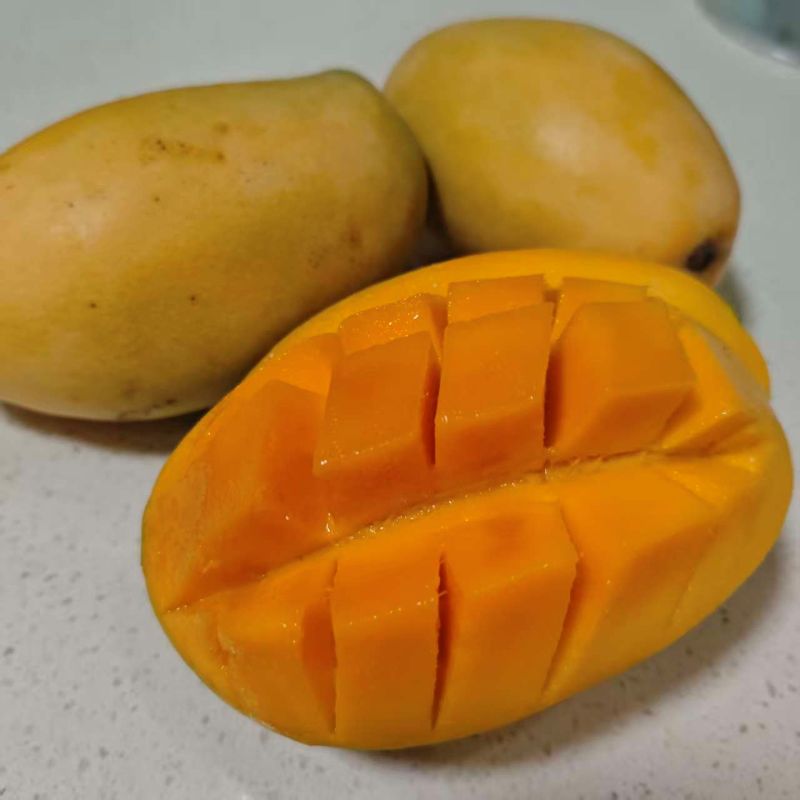 进口|有机香芒|单果0.6~1.23斤之间|4斤|次日配送