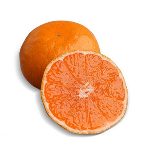 临海|涌泉蜜橘（净重8斤）|无核化渣|1箱|次日配送