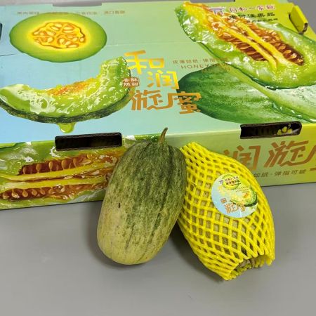 精选|云翠蜜瓜|1箱|次日配送
