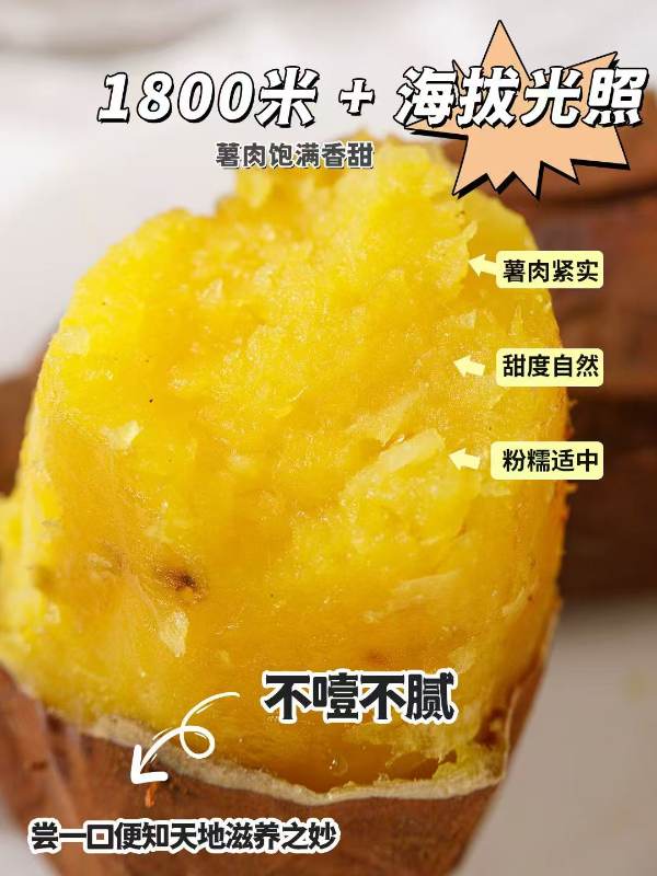 精选|糖心蜜薯|净重4.5斤，蒸、煮、烤皆宜|1箱|次日配送