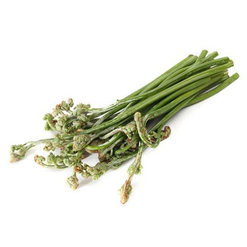 高山蔬菜|蕨菜|0.6斤|次日配送