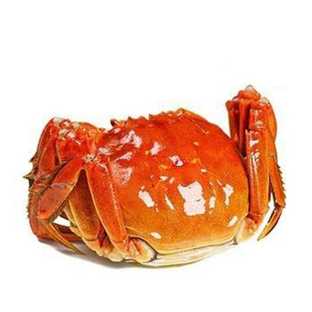 苏州|阳澄湖（5.0公蟹简装）|2只|次日配送