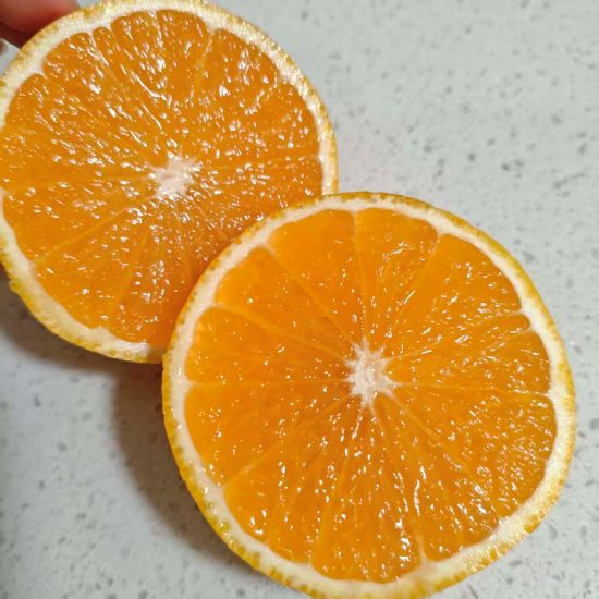 庆元|甜橘柚(90＃)|净重10斤左右|1箱|次日配送