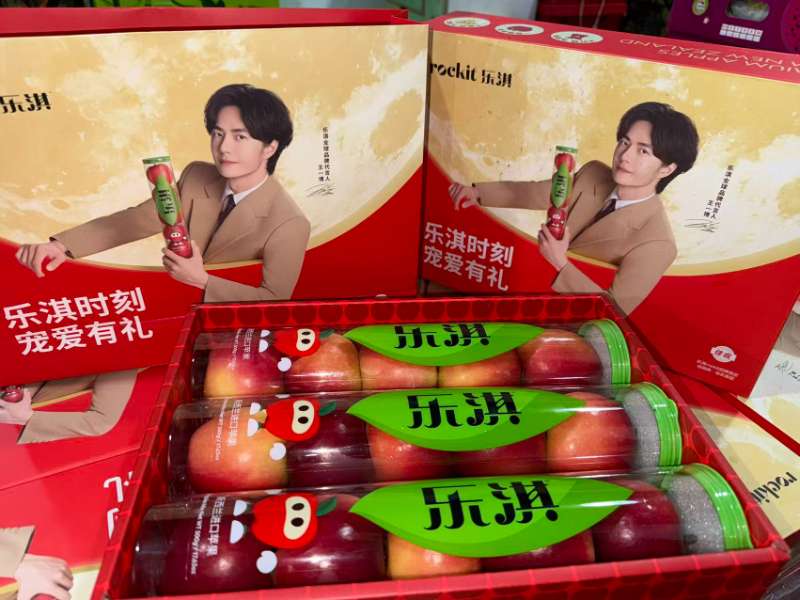 新西兰|火箭筒苹果礼盒装|500g大果×3筒|1箱|次日配送