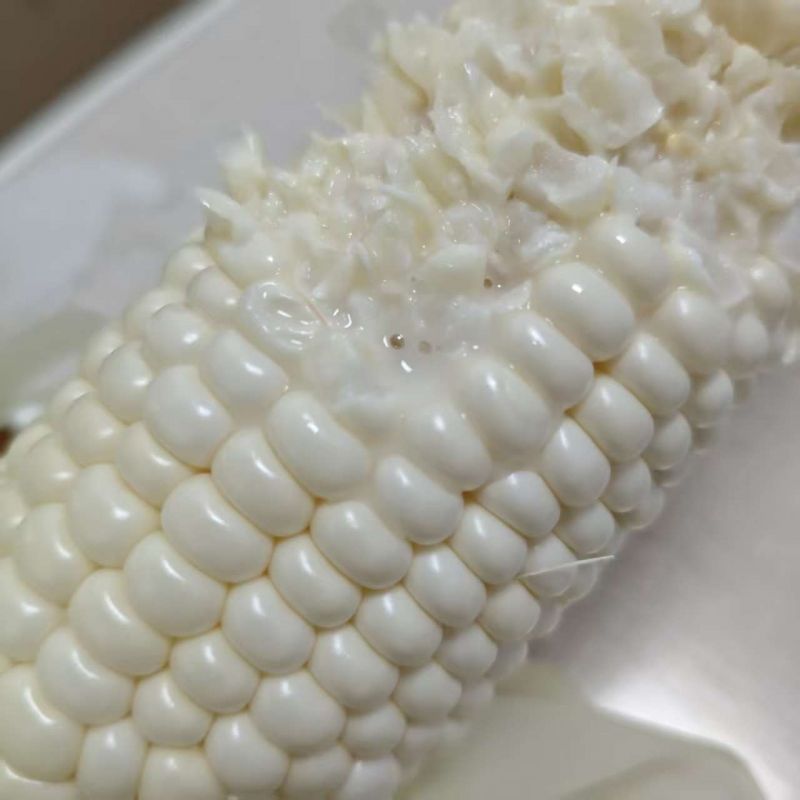 精选|爆浆牛奶玉米（一级）|一级，单穗250g以上|8根|次日配送