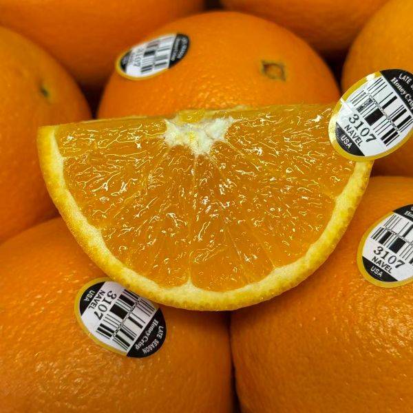 进口|15＃美国橙原装|净重约8斤|1箱|次日配送