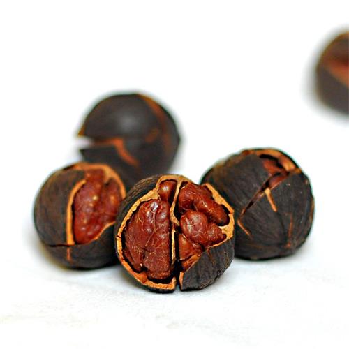 临安|特好剥山核桃（水煮味，250g/罐）|2罐|次日配送