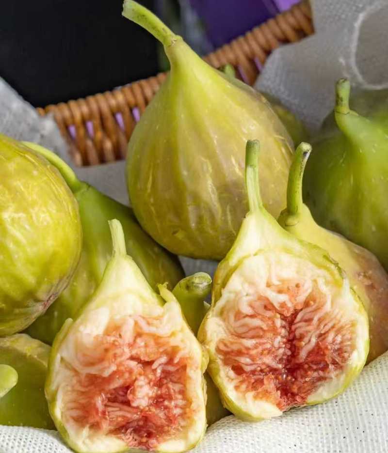 精选|花香蜜无花果|9只装，约500g|1小盒|次日配送