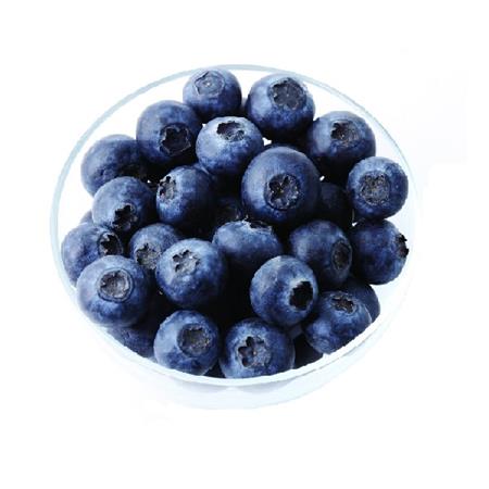 进口|比安卡蓝莓（18mm+）|125g/小盒|12小盒|次日配送