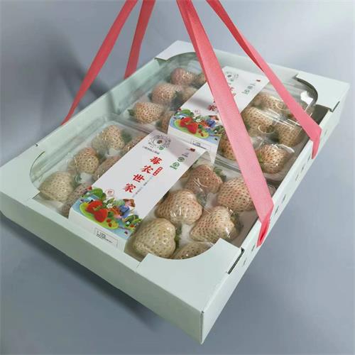 建德|白草莓二合一礼盒装|绿色认证，净重约1.5斤|1箱|次日发货