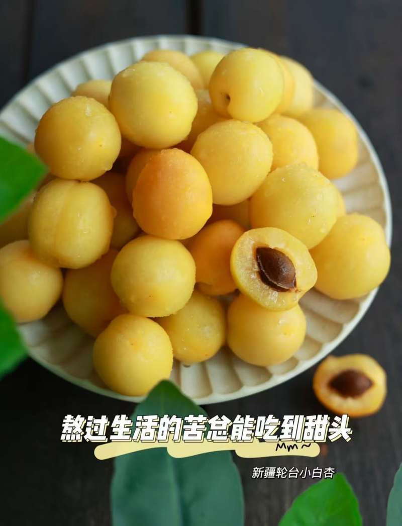 精选|空运新疆小白杏|1.5斤|次日配送