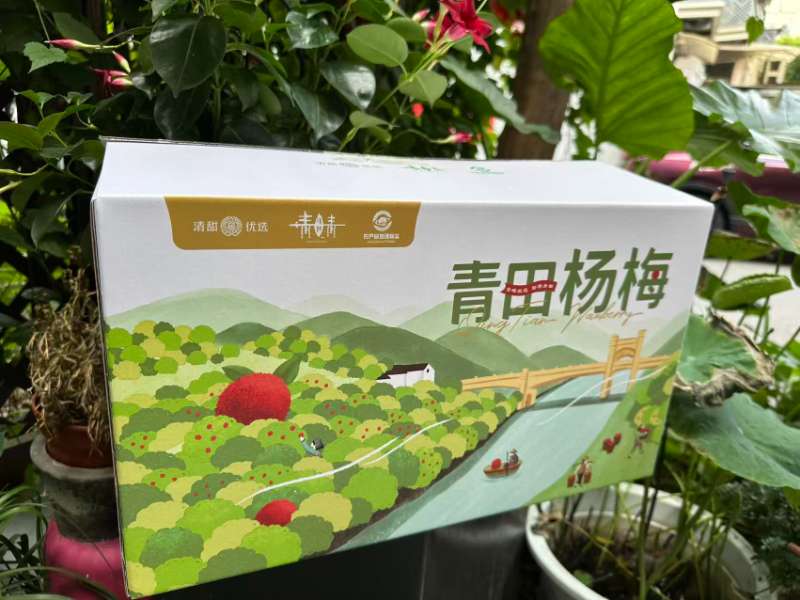 青田|贡品级东魁杨梅60粒装|单果25g以上，净重3.3斤以上|1箱|顺丰直发