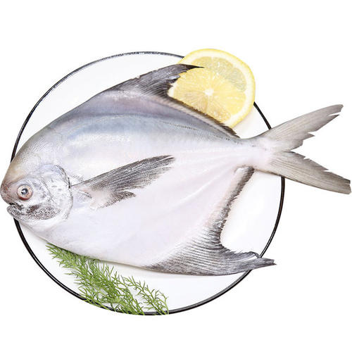 海鲜|银鲳鱼（5两左右）|2条|次日配送