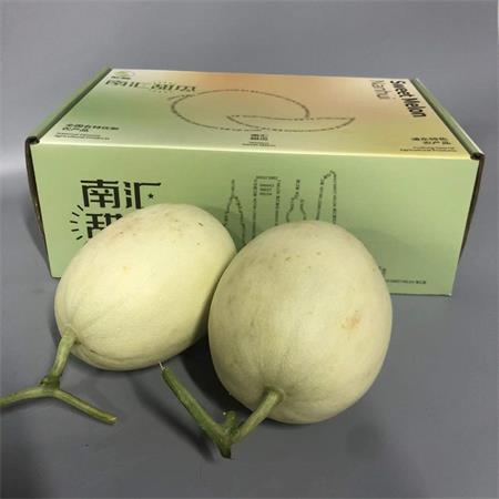 上海|南汇玉菇甜瓜（大箱）|绿色认证，3/5个，净重13斤左右|1箱|次日配送