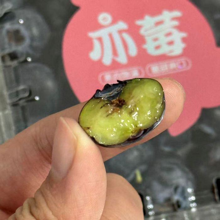云南|亦莓蓝莓（15mm+）|L25花香品种|6小盒|次日配送