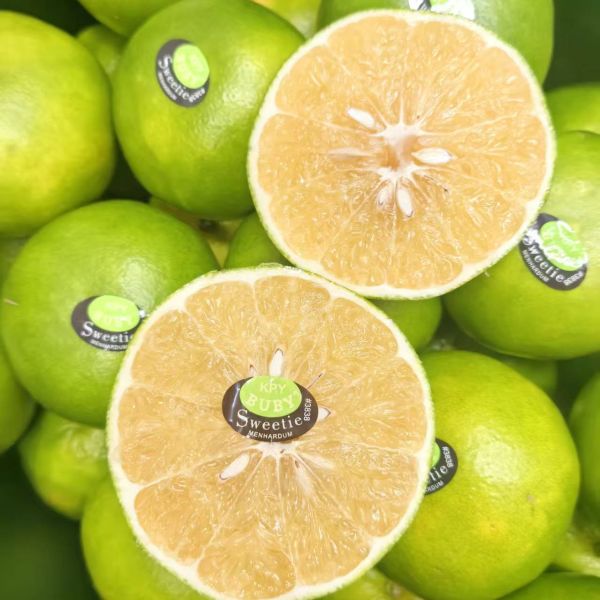 精选|青柚（简装）|5斤|次日配送