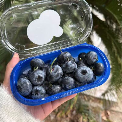 云南|云美莓24mm+钻石蓝莓|200g/盒|2小盒|次日配送