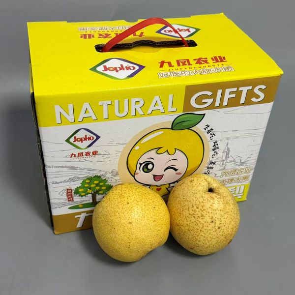 精选|蜂蜜梨|7头左右，净重4.3斤|1箱|次日配送