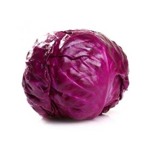 高山蔬菜|有机紫甘蓝|偏差2两以内|1.5斤|次日配送