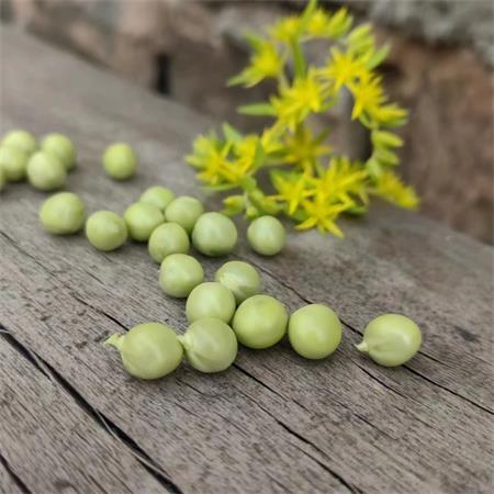 高山蔬菜|剥壳豌豆肉|0.5斤|次日配送