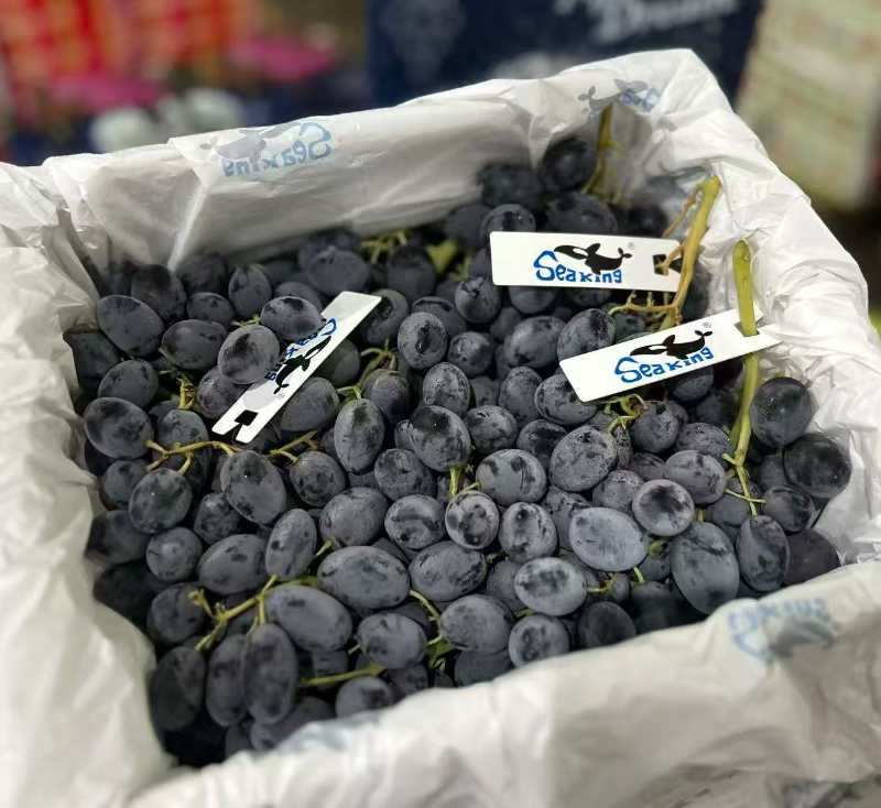 精选|神秘仙境葡萄礼盒装|6斤|次日配送