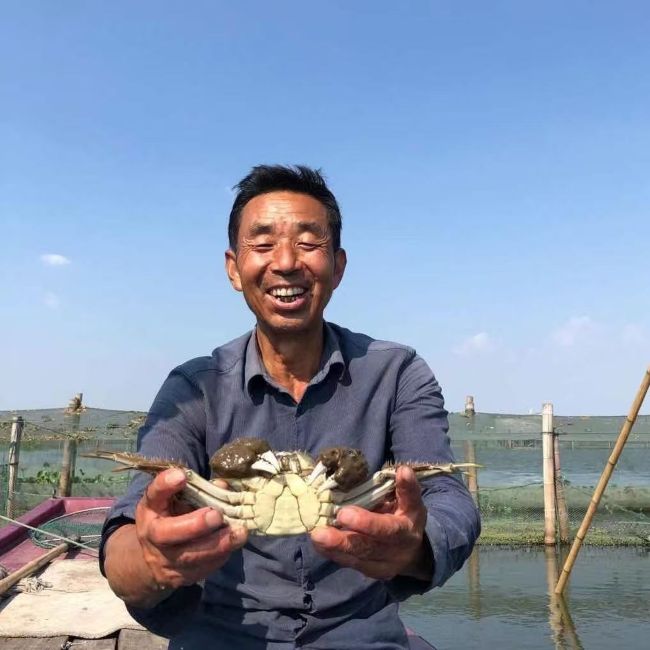 苏州|阳澄湖（3.5公，2.5母，各4只）|1盒