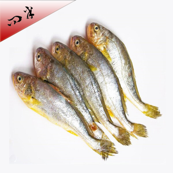海鲜|野生小黄鱼（6条装）|1斤|次日配送