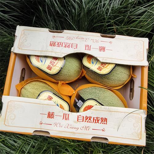 精选|晓蜜瓜|单果3.3斤左右|4个|次日配送