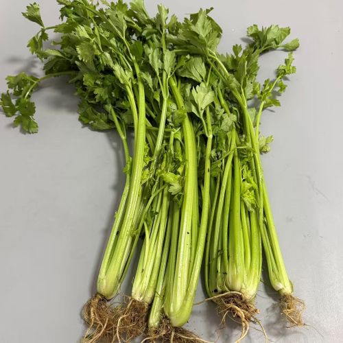 高山蔬菜|小西芹|1斤|次日配送