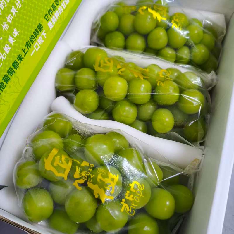 精选|匠心极特级晴王葡萄|3串，净重5.5斤左右|1箱|次日配送