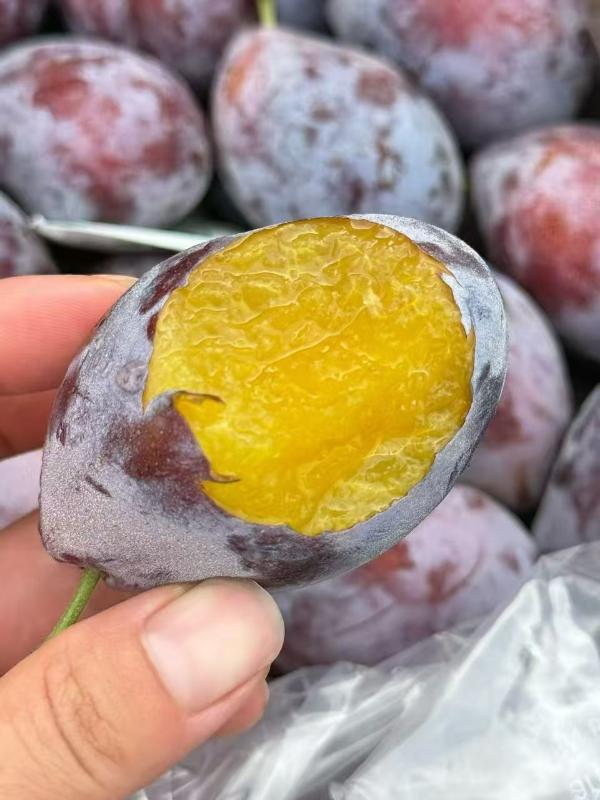 智利|艾尔肯西梅|0.5箱|次日配送
