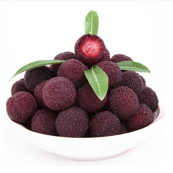 云南|浙兴杨梅（中果）|约2斤|0.5箱|次日配送