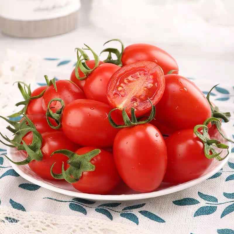 精选|千禧小番茄|1箱