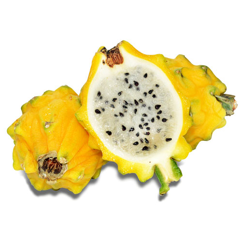 精选|国产燕窝果|6头|1箱|次日配送