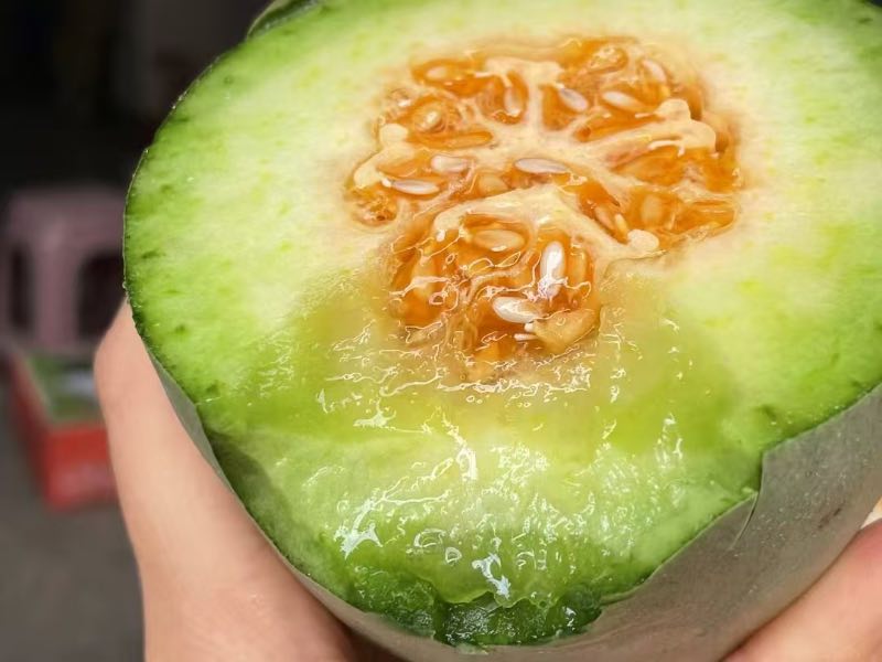 咩咩脆甜蜜瓜|净重3.5斤左右|1箱|次日配送