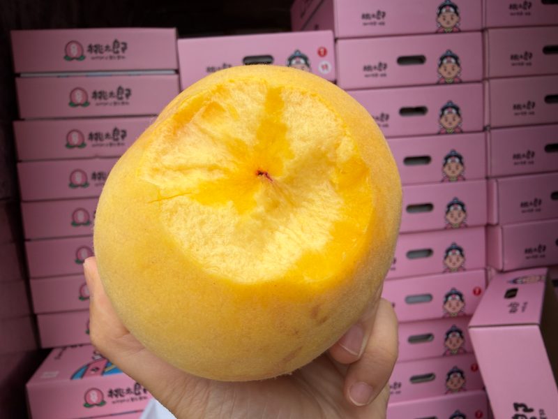 精选|桃太郎高山黄桃|7/8头大果|1箱|次日配送