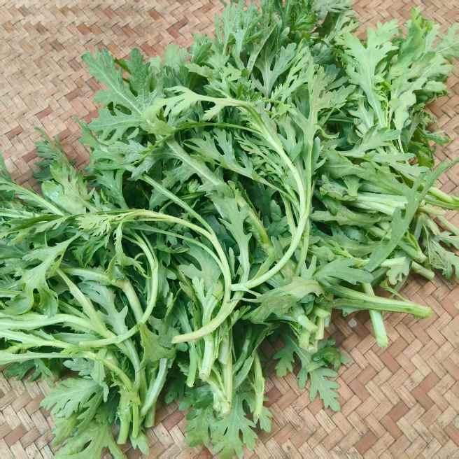 高山蔬菜|皇帝菜/小叶茼蒿|0.8斤|次日配送