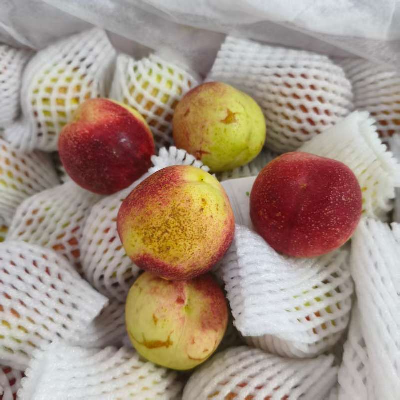 新疆|沙漠丑桃|单果40~70g|2斤|次日配送