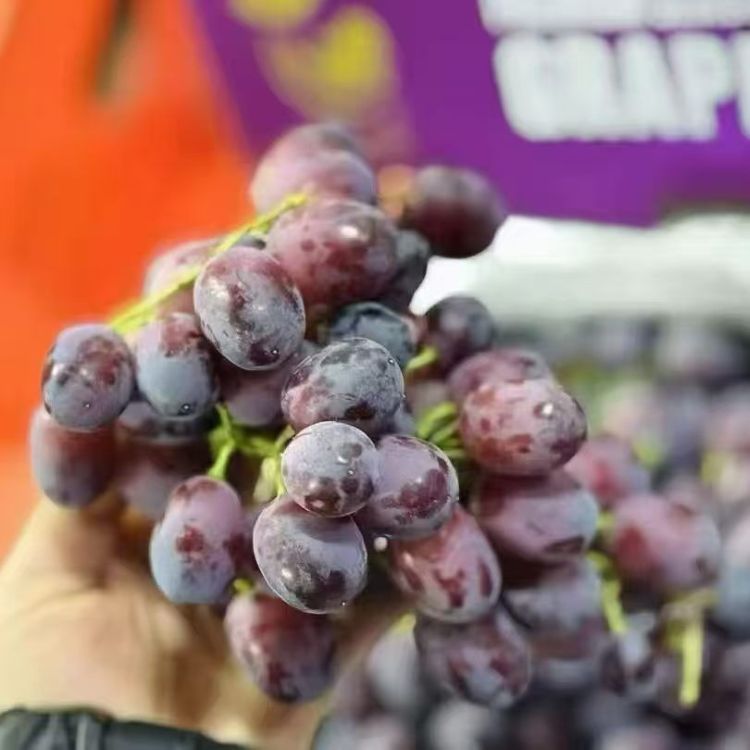 澳大利亚|棒棒糖无籽红提|脆甜多汁|2斤|次日配送