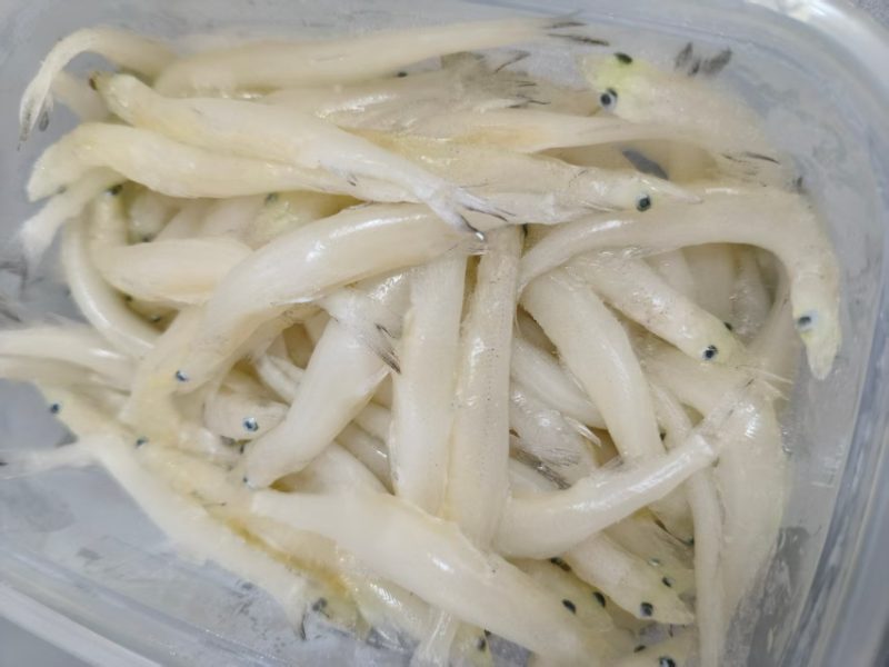 海鲜|鲜冻银鱼|净重250g|1小盒|次日配送