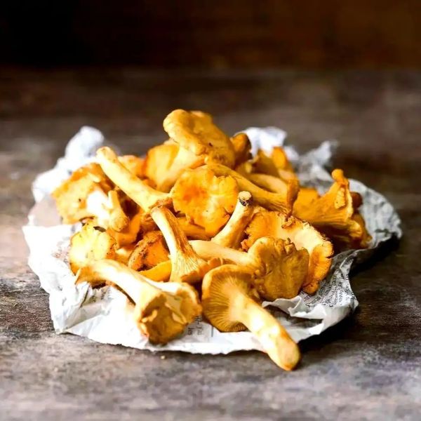 高山蔬菜|鸡油菌|0.5斤|次日配送