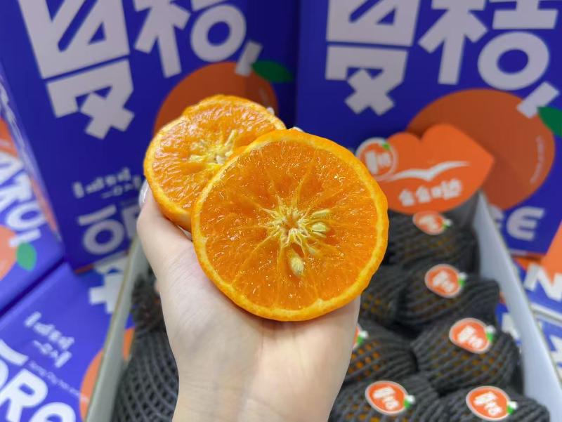 云南|夏橘|16头，净重4斤左右|1箱|次日配送